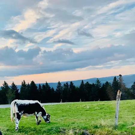 Nyaraló Du Ballon D Alsace *