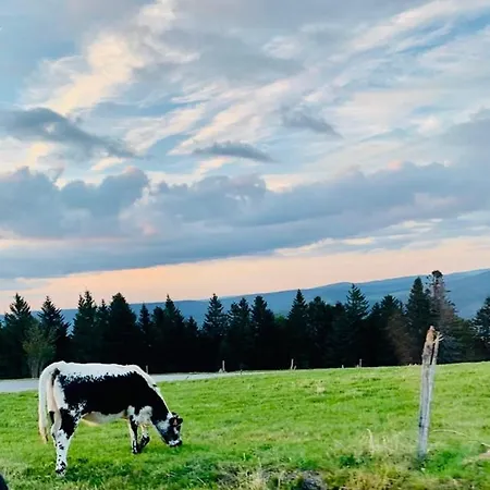Du Ballon D Alsace Nyaraló *